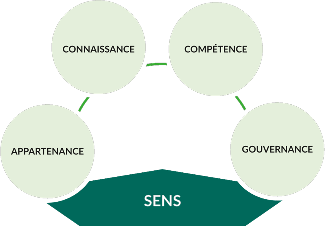 visuel article guillaume lavigne ftt